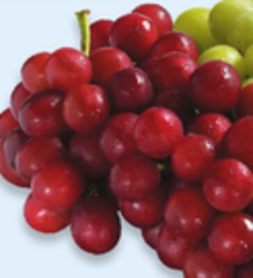 Raisins rouges pépins