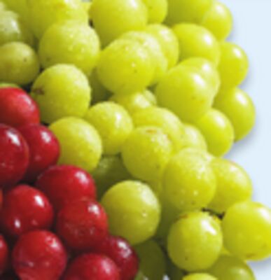 Raisins verts sans pépins