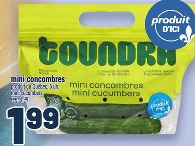 MINI CONCOMBRES | MINI CUCUMBERS