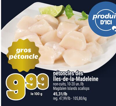 Pétoncles des îles-de-la-madeleine