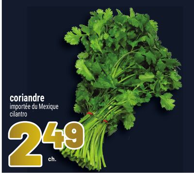 Coriandre
