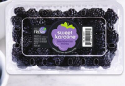 Bleuets géants 278 9 cu mares Sweet Karoline 238 g