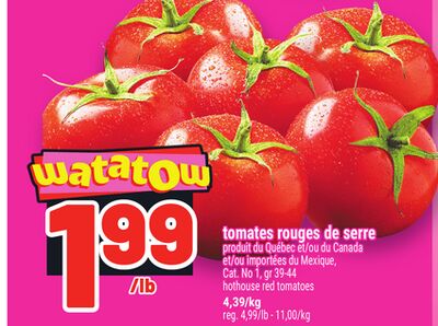 TOMATES ROUGES DE SERRE | HOTHOUSE RED TOMATOES