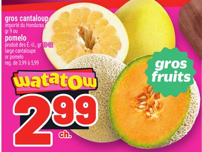 GROS CANTALOUP | LARGE CANTALOUPE