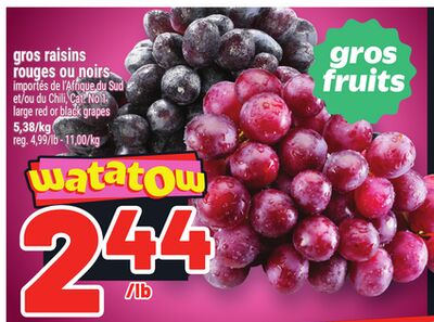 GROS RAISINS ROUGES OU NOIRS | LARGE RED OR BLACK GRAPES