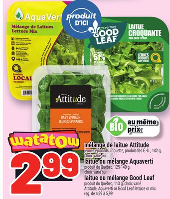 MÉLANGE DE LAITUE ATTITUDE | ATTITUDE