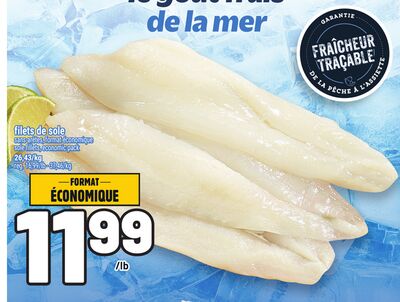 FILETS DE SOLE | SOLE FILLETS
