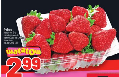 FRAISES | STRAWBERRIES