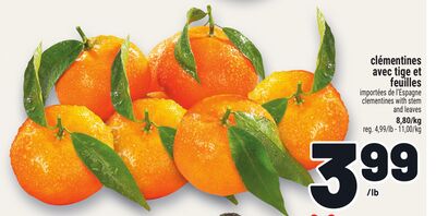 CLÉMENTINES AVEC TIGE ET FEUILLES | CLEMENTINES WITH STEM AND LEAVES