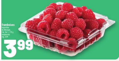 FRAMBOISES | RASPBERRIES