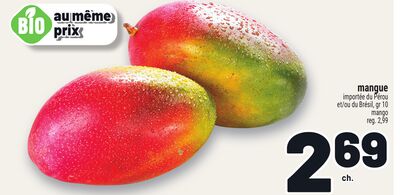 MANGUE | MANGO
