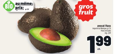 AVOCAT HASS | HASS AVOCADO