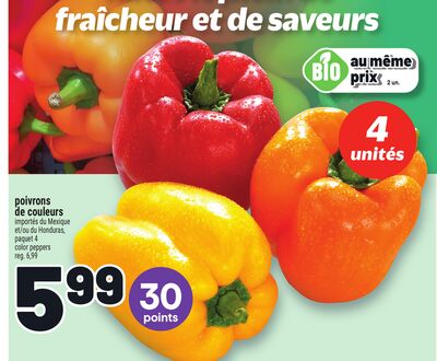 POIVRONS DE COULEURS | COLOR PEPPERS