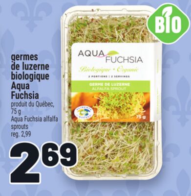 GERMES DE LUZERNE BIOLOGIQUE AQUA FUCHSIA | AQUA FUCHSIA ALFALFA SPROUTS