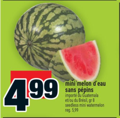 mini melon d'eau sans pépins | seedless mini watermelon