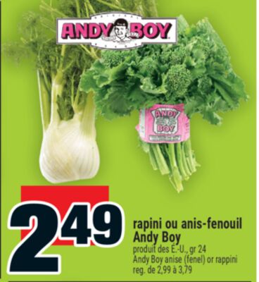 Rapini ou anis-fenouil Andy Boy | Andy Boy anise (fenel) or rappini