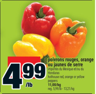 Poivrons rouges, orange ou jaunes de serre | hothouse red, orange or yellow peppers