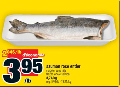 Saumon rose entier | frozen whole salmon