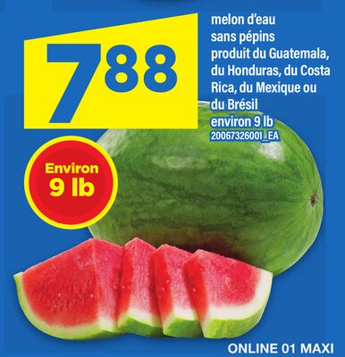 MELON D'EAU SANS PÉPINS