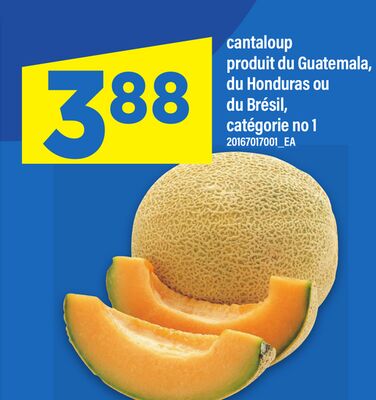 CANTALOUP