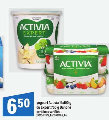YOGOURT ACTIVIA 12X100 G OU EXPERT 750 G DANONE