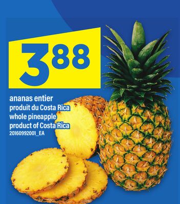 ANANAS ENTIER / WHOLE PINEAPPLE