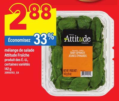 MÉLANGE DE SALADE ATTITUDE FRAÎCHE, 142 G