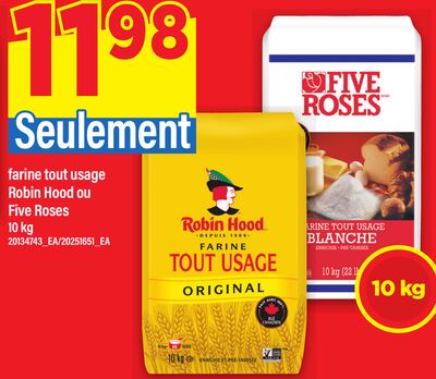 SEULEMENT FARINE TOUT USAGE ROBIN HOOD OU FIVE ROSES, 10 kg