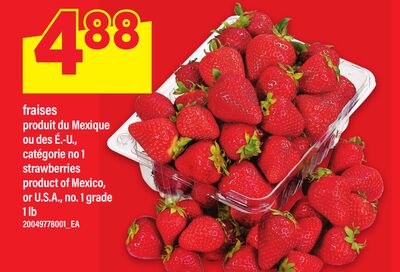 FRAISES | STRAWBERRIES, 1 lb