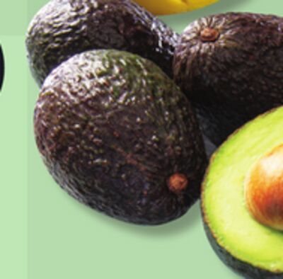 AVOCAT HASS OU MANGUE ATAULFO OU MANGUE ROUGE