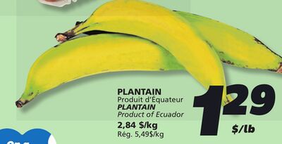 PLANTAIN