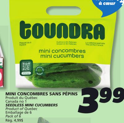MINI CONCOMBRES SANS PÉPINS
