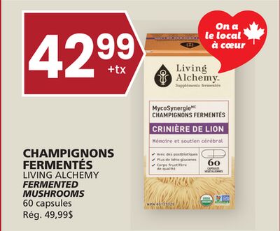 CHAMPIGNONS FERMENTÉS LIVING ALCHEMY