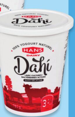 Yogourt nature Dahi de Hans 3,2 %