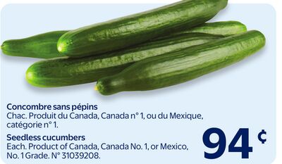 Concombre sans pépins