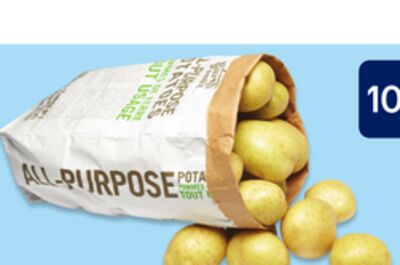 Pommes de terre tout usage