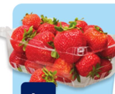 Fraises 454 g