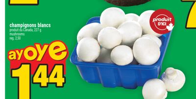 champignons blancs | mushrooms