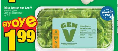 laitue Boston duo Gen V | Gen V duo Boston lettuce