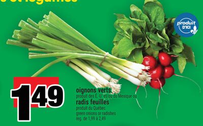 oignons verts or radis feuilles | green onions or radishes