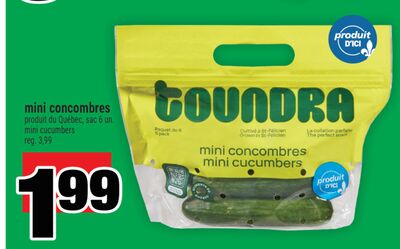 mini concombres | mini cucumbers