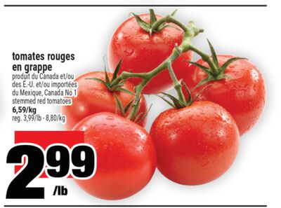 tomates rouges en grappe | stemmed red tomatoes