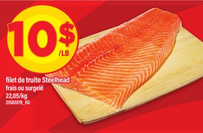 FILET DE TRUITE STEELHEAD