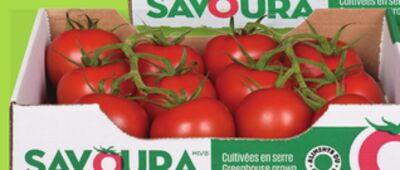 TOMATES SALADIO SAVOURA