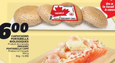 CAPUCHONS PORTABELLA BIOLOGIQUES