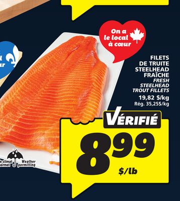 FILETS DE TRUITE STEELHEAD FRAÎCHE
