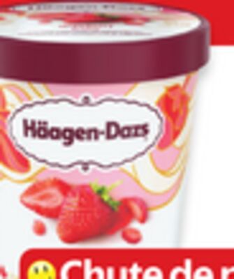 Barres ou contenant de crème glacée häagen-dazs
