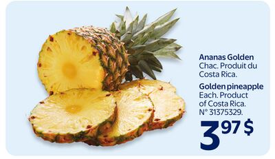 Ananas golden
