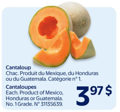 Cantaloup