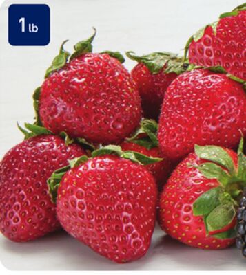 Fraises 454 g